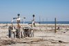 bombay-beach-650x434.jpg