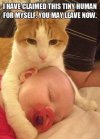 cat and baby.jpg