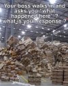 FB_IMG_1622202440977.jpg