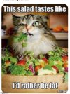 IMG_4443.jpeg