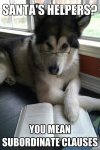 IMG_6806.jpeg