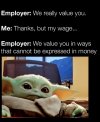 IMG_9864.jpeg