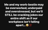 IMG_0016.jpeg