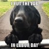 IMG_0609.jpeg
