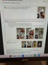 IMG_7819.jpeg