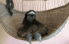 z02Fdvb.gif