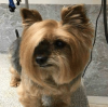 20180516_152116.png