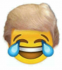 trump-emoji-somebody-make-this-happen-19815702~2.png