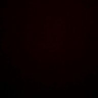 THE DARK SPOT