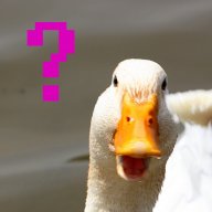 SuckMyDuckMFer