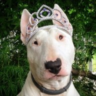 Princess B