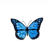 butterflyemoji