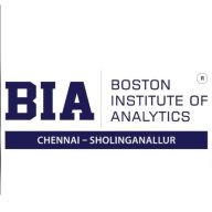 Boston Institute