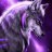 Betawolfe18