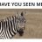 iFoundURzebra