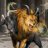 Chimera