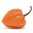 Habanero